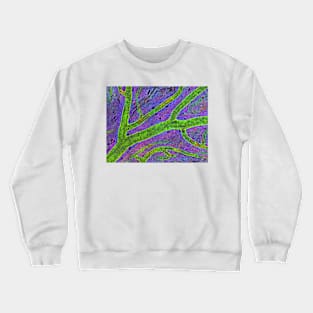 Retina blood vessel (P424/0240) Crewneck Sweatshirt